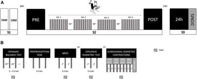 Acute effects of isotonic eccentric exercise on the neuromuscular function of knee extensors vary according to the motor task: impact on muscle strength profiles, proprioception and balance